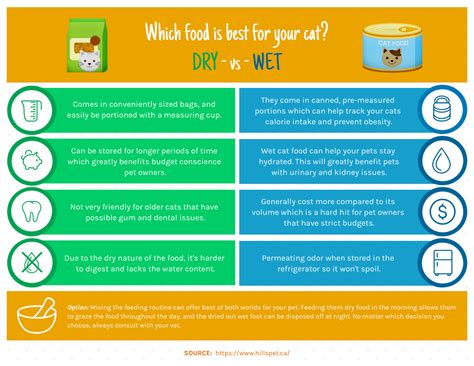 Dry Vs Wet Cat Food Infographic Template