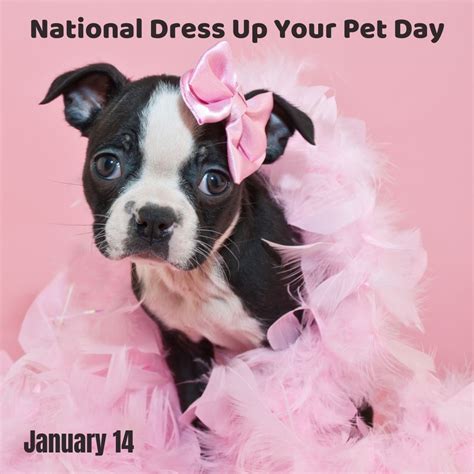 National Dress Up Your Pet Day 2022