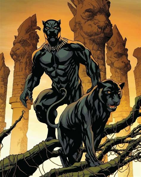 Black Panther Black Panther Comic Black Panther Comic Books Black