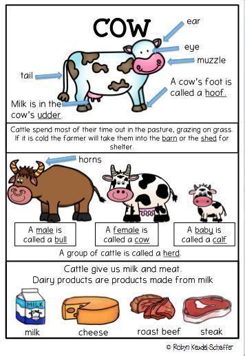 Farm Animals Theme Worksheets Cow Pack Farm Animals Preschool Farm