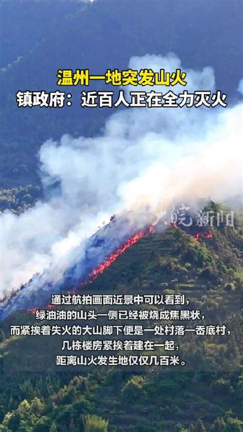 温州一地突发山火，镇政府：近百人正全力灭火山火温州市新浪新闻