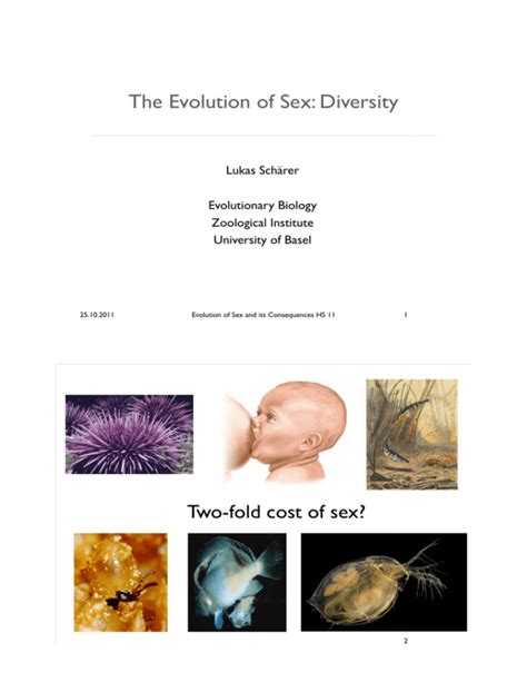 The Evolution Of Sex Diversity Evolutionary Biology At The