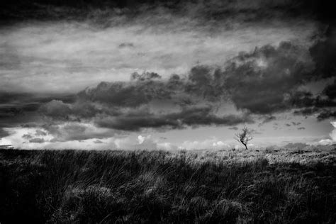 the windy moor 365 day 320 simon evans flickr