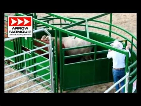 BudFlow® Cattle Tub | Cattle Equipment | Arrowquip - YouTube | Cattle ...