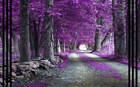 Purple Forest Fantasy Wallpaper 28695054 Fanpop