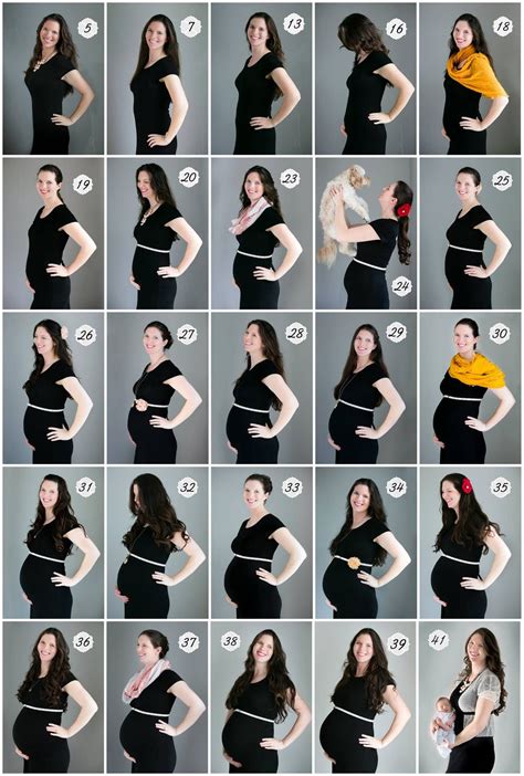 Sexy Pregnant Belly Weekly Progression Pregnantbelly