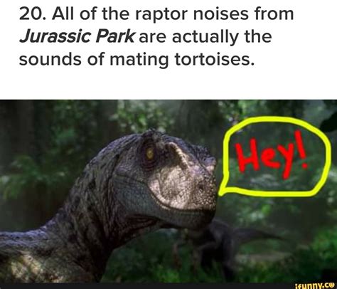 20 All Of The Raptor Noises From Jurassic Park Are Actually The Sounds Of Mating Tortoises