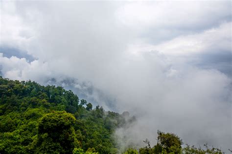 Free Images Nature Forest Mountain Cloud Sky Fog Mist Sunlight