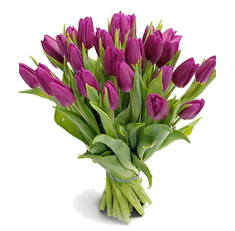 25 сиреневых тюльпанов — заказать/купить цветы на дом с курьерской ...