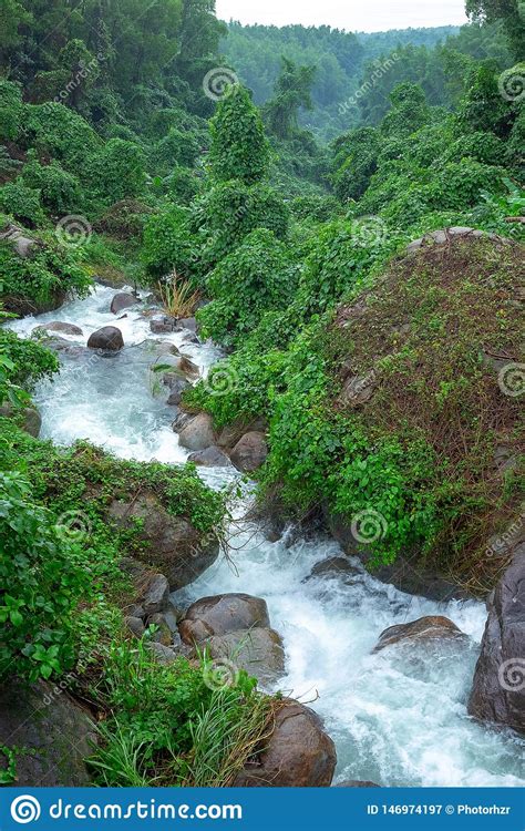 Mountain River Stream Waterfall Fresh Forest Landscape Nature Plant
