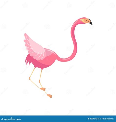 Beautiful Elegant Pink Flamingo Exotic Tropical Bird Vector