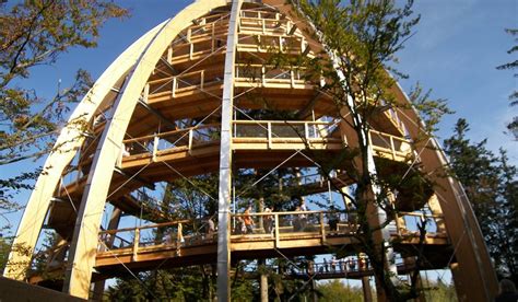 Dichte wälder und bergige höhen kennzeichnen hier das. Baumwipfelpfad im Nationalpark Bayrischer Wald in ...