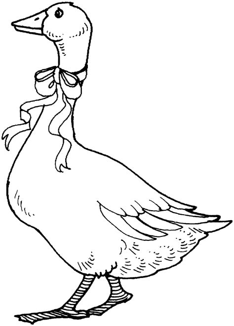 Goose With Ribbon Animal Coloring Pages Coloring Book Pages Coloring