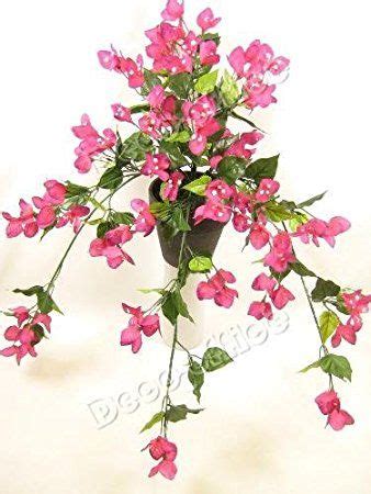It is native to eastern south america, found from brazil, west to peru. Length 70cm ~ Potted Artificial Bougainvillea trailing ...