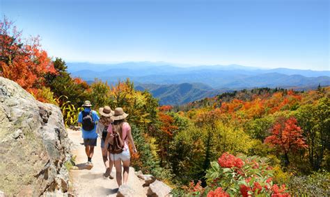 Top Outdoorsy Things To Do In Asheville Going Places