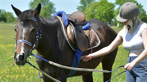 How To Mount A Horse 13 Steps With Pictures Wikihow