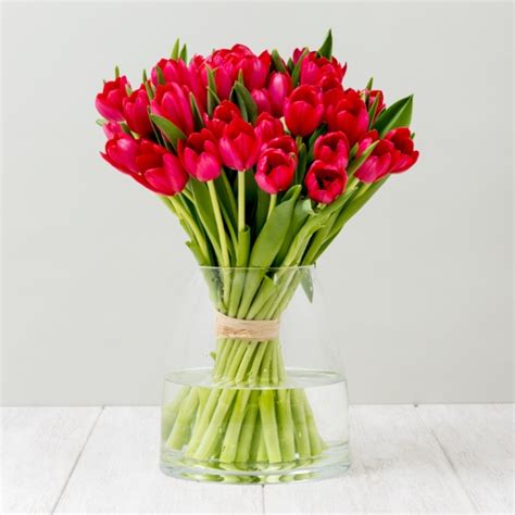 El Significado De Los Tulipanes Según Su Color Blog Verdecora