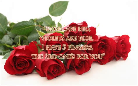 What about your best friend? 7 Funniest Insults That You Can Tell Your Best Friends ...