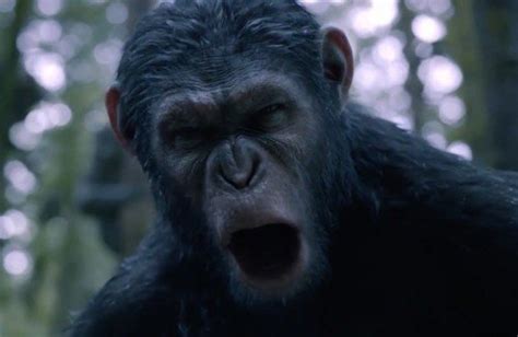 what is the iq level of caesar the ape in the planet of the apes movie quora