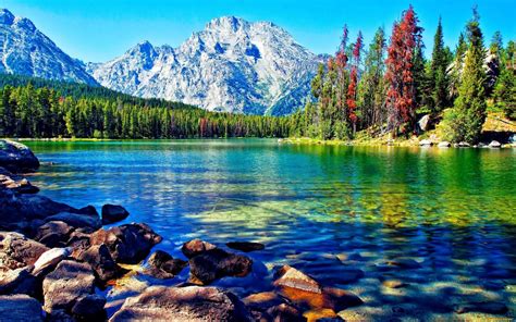 Download Beautiful Lake Mountain Forest Desktop Wallpaper By