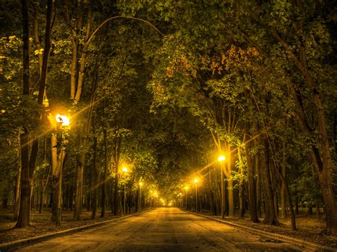 Wallpaper Road Park Lighting Wood Old Autumn Trees Light