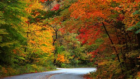 Best Places To Experience Fall In Michigan Michigan Autumn Hd