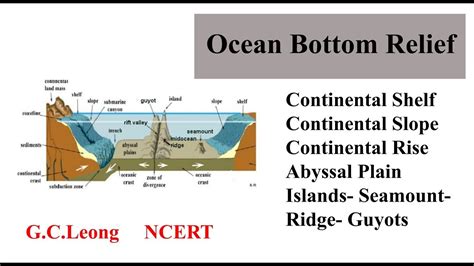 Continental Shelf Slope Rise Abyssal Plain Deepsea Mid Oceanic