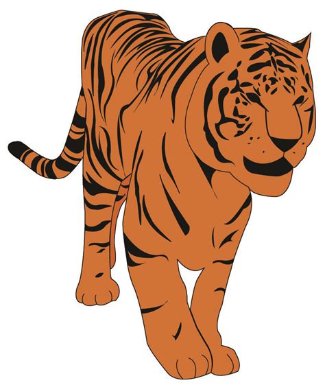 Безплатни тигрови клипарти изтеглете безплатни картинки безплатни