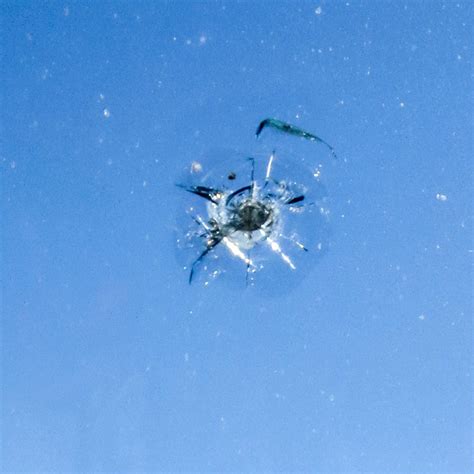 Check spelling or type a new query. Windshield Repair- Let Auto Glass Service fix the repair