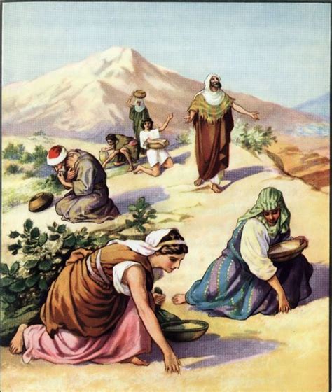 Manna From Heaven With Images Bible Art Bible Pictures Bible