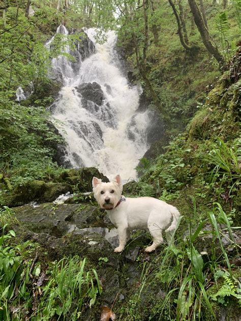 Exploring The Galloway Forest Park 24 Hours In The South Of Scotland