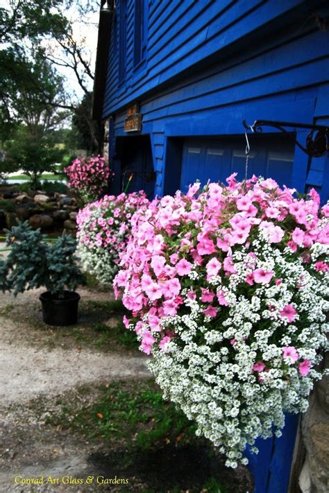 Annuals and flowery things often need their spent flowers removed. Pin on Plants & Flowers