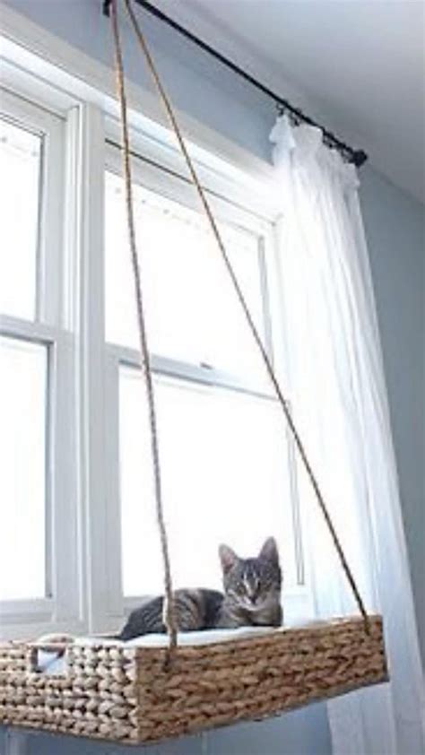 Diy Cat Beds Diy Cat Bed Cat Window Perch Cat Diy
