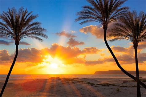Southern California Sunset Beach With Backlit Palm Trees Stock Photo