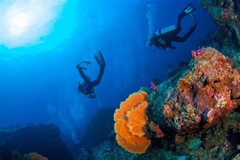 5 Reasons Red Sea Scuba Diving Should Be On Your Radar