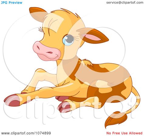 Clipart Cute Baby Calf Cow Sitting Royalty Free Vector