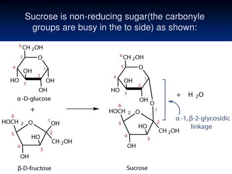 Ppt Reactions Of Reducing And Non Reducing Sugars Lab 2