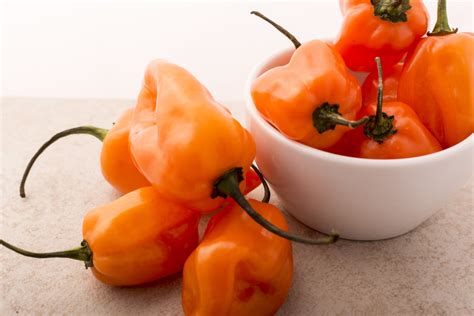 Pepper, Hot Habanero Orange - Heirloom - Hometown Seeds