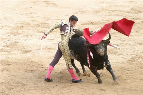 Free Stock Photo Of Matador
