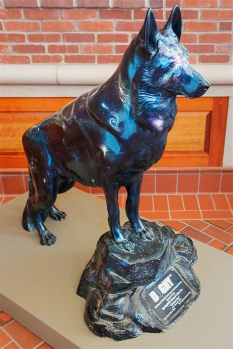 Dog days, or hundstage in the film's original german title, refer to the oppressively hot days of summer. Galaxy Dog | Springfield Museums