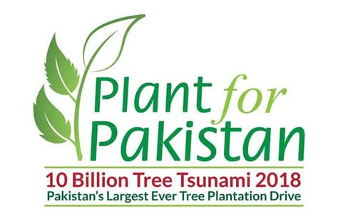 Pakistans 10 Billion Tree Tsunami Has Transformed The Region In One