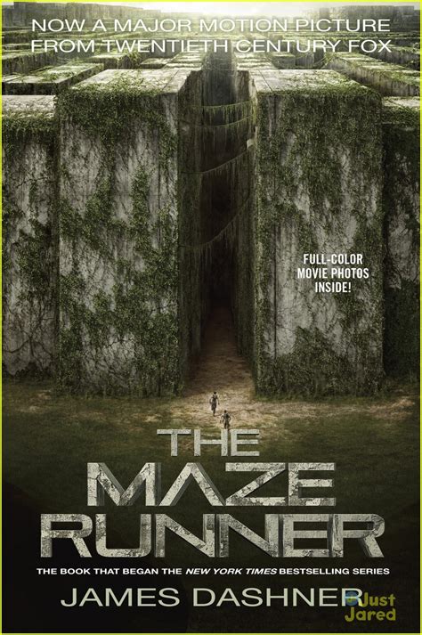 The Maze Runner A Science Fiction Novel About Surviving In A Deadly
