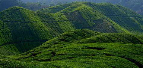 Berbagai tempat wisata baru bermunculan tiap bulan untuk memanjakan pengunjung. 11 Tempat Menarik Di Pahang 2019 (Senarai TOP dan WAJIB)