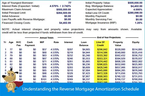 Understanding The Reverse Mortgage Amortization Schedule