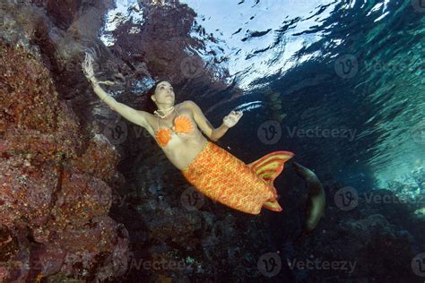 Mermaid Swimming Underwater In The Deep Blue Sea With A Seal 12201698