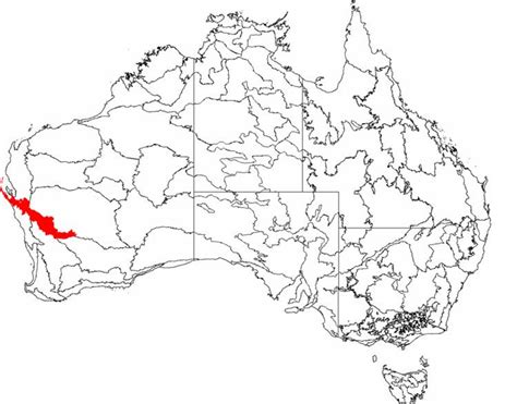 Southwest Australia Savanna Alchetron The Free Social Encyclopedia