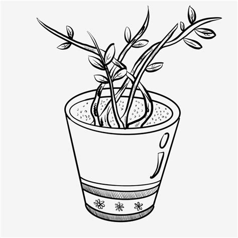 Line Drawing Potted Plant Illustration Beautiful Flower Pots Line