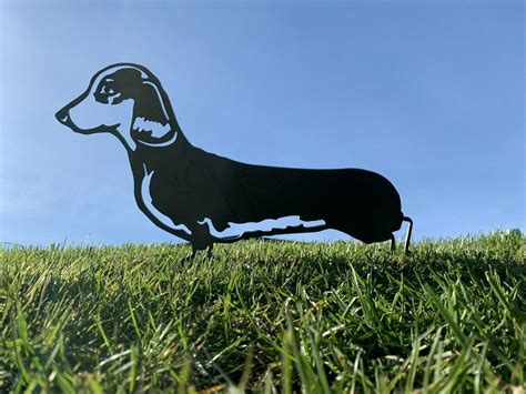 Once it has dried completely, follow up with a paint that's specially formulated for metal. Dachshund Dog Metal Garden Art