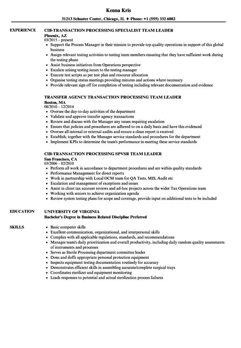 Team leader cv structure & format. Team Leader Processing Resume Samples | Velvet Jobs