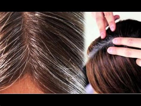 Warna Cat Rambut Menutupi Uban - Warna Cat Jotun